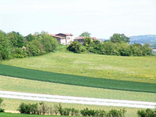 Terrain agricole