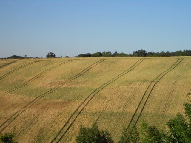 Terre agricole