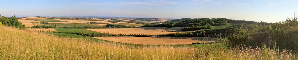 Terres agricoles