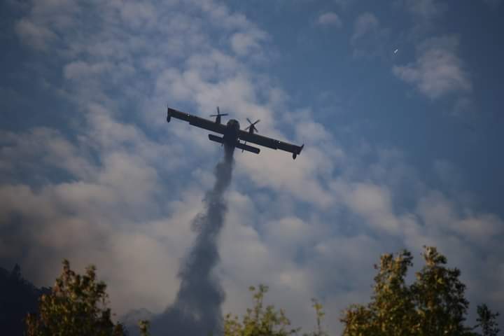 Canadair - Incendie