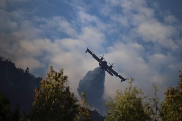 Incendie - feu de forêt - Canadair