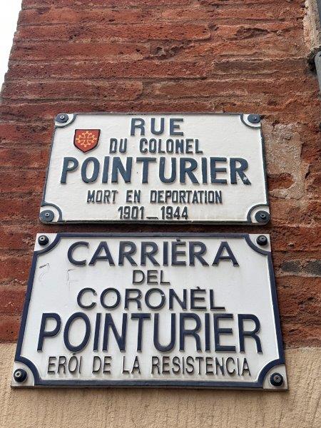 Rue du Colonel Pointurier - Toulouse