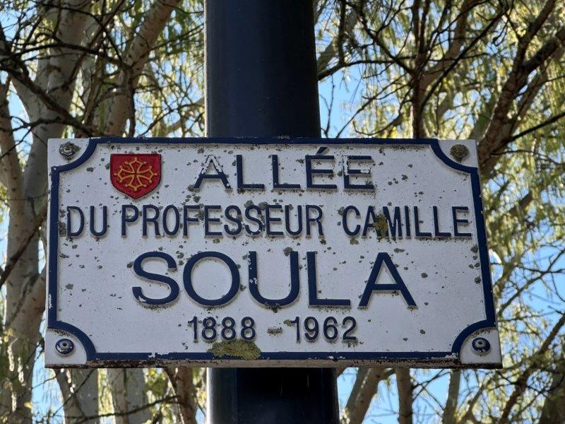 Allée du Professeur Camille Soula - Toulouse