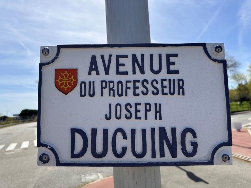 Avenue du Professeur Joseph Ducuing - Toulouse