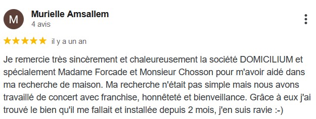 Avis Google 5 étoiles Domicilium votre chasseur immobilier Toulouse