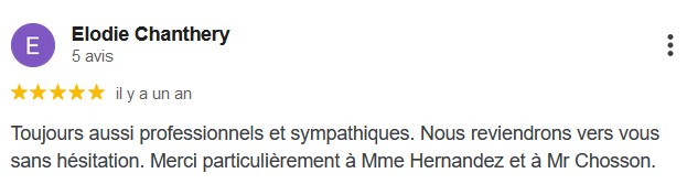 Avis Google 5 étoiles Domicilium votre chasseur appart Toulouse.jpg