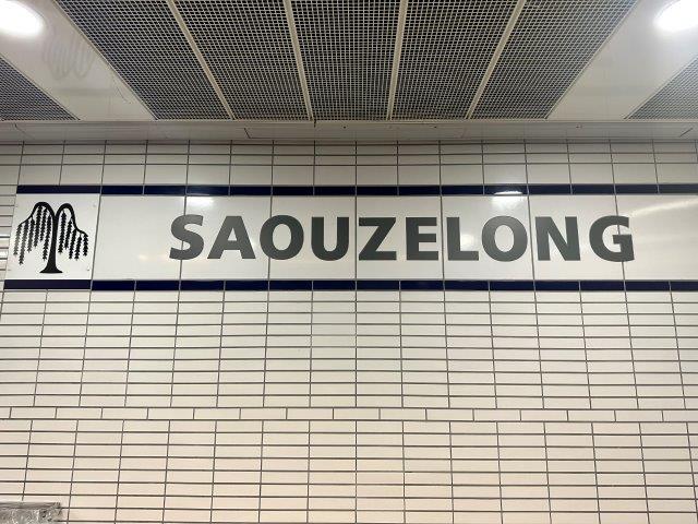Métro Saouzelong - Ligne B - Tolouse